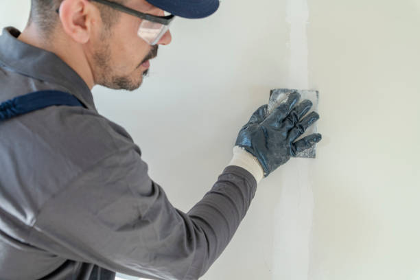 Trusted Webster Groves, MO Mold Removal Experts