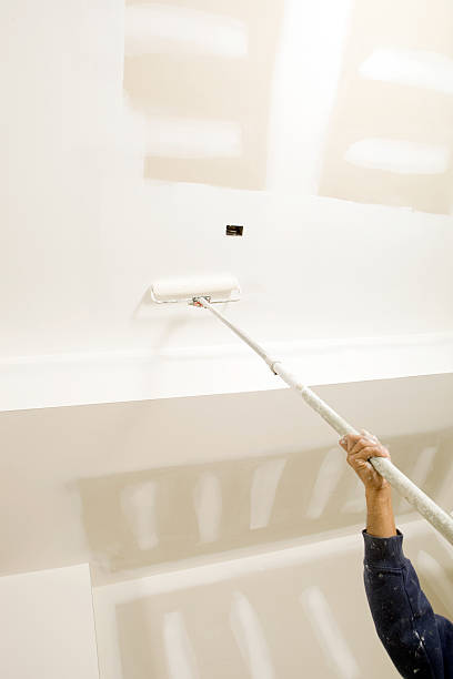Forensic Mold Investigation in Webster Groves, MO