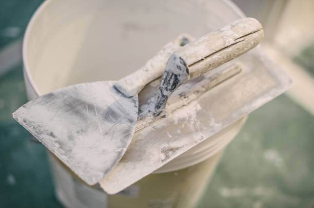 Best Black Mold Removal  in Webster Groves, MO
