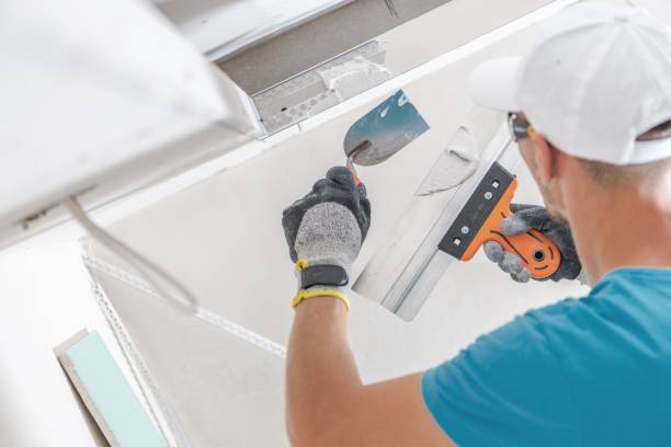 Best Mold Documentation for Insurance Claims  in Webster Groves, MO